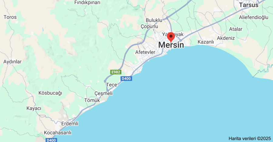 Mersin Astar Polyester Kumaş